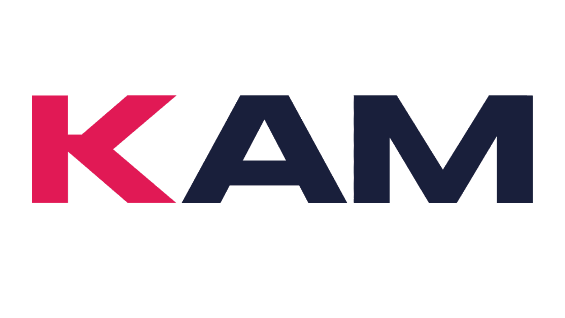 Kaminsight logo