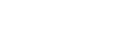 Lightspeed logo
